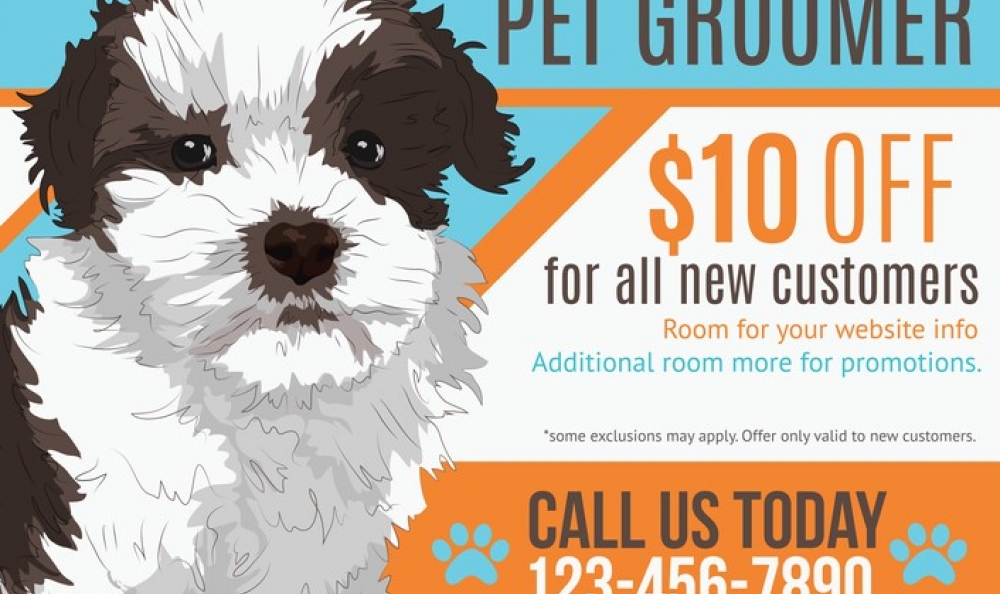 6 Winning Direct Mail Campaigns