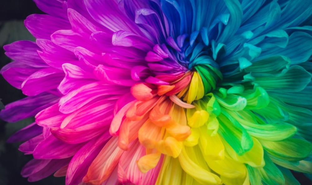 Add Zest to Summer Designs with 10 Hot Color Combos