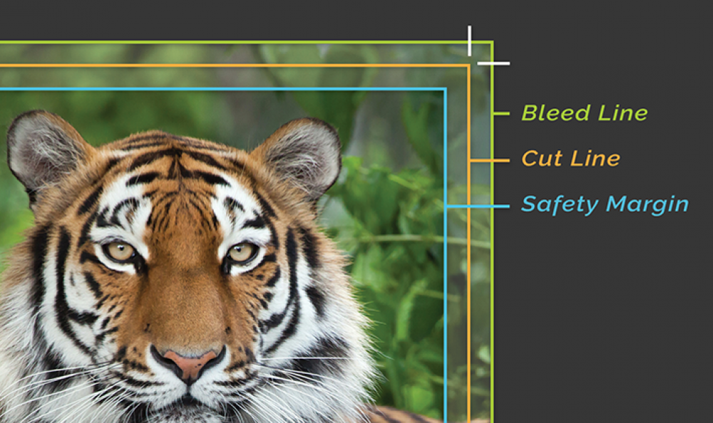 Color Outside the Margins with Gorgeous Full Bleed Printing